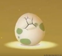 Вылупление яиц покемонов в Pokemon Go?