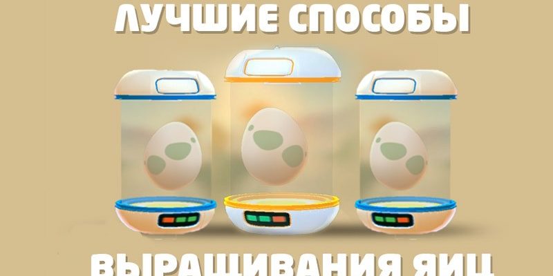 как быстро выращивать яйца в Pokemon Go, Лучшие способы