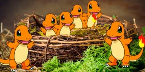11 миграция гнезд в Покемон ГО / Pokemon GO